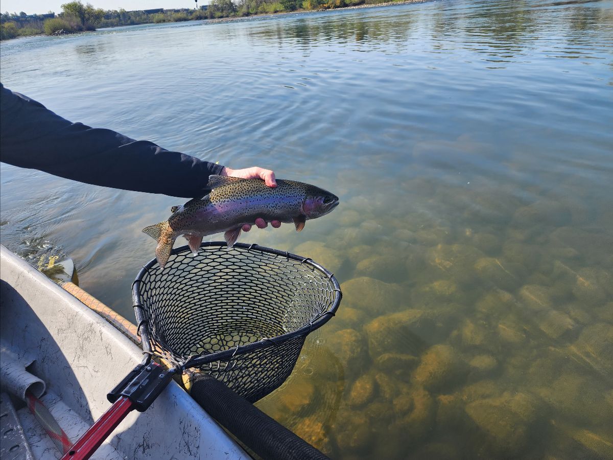 End of Summer Fishing Report